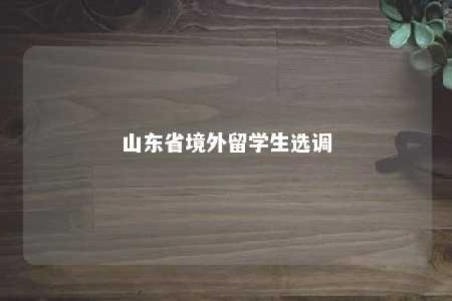 山东省境外留学生选调 山东省海外选调生