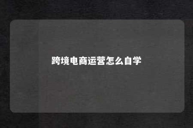 跨境电商运营怎么自学 跨境电商运营自学全套教程第二版