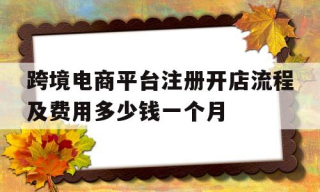 跨境电商平台注册开店流程及费用多少钱一个月