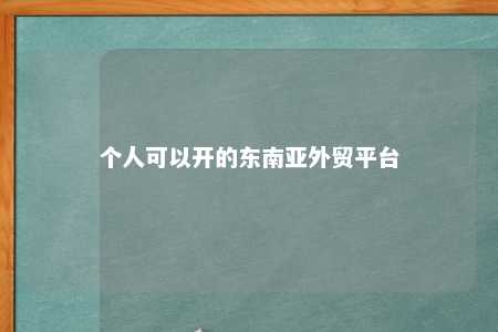 个人可以开的东南亚外贸平台