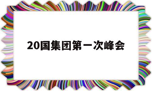 20国集团第一次峰会