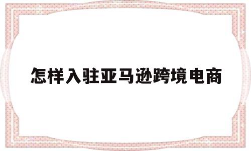 怎样入驻亚马逊跨境电商